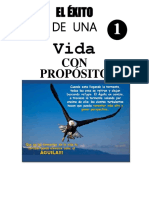 Manual Exito de Una Vida Con Proposito