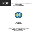 Download LP CPD by yanie SN357211025 doc pdf