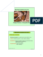 Clase 1. Minerales PDF