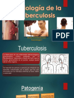 Semiologadelatuberculosis 140313005954 Phpapp01