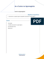 Aula 2 - Gestao Empresarial No Agronegócio