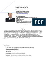 CV  luis torres ro.pdf