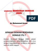 Demam Berdarah Dengue