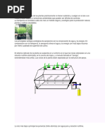 aeroponia.pdf