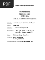 Guía para Registro en RUNSAI INSAI | PDF | Informática y tecnología de ...