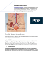 Penyebab Kristal Di Saluran Kencing Dan Gejalanya