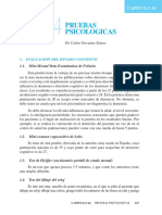 Pruebas Psicologicas PDF