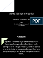 Makro Adenoma