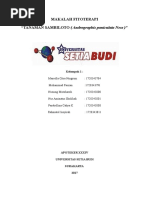 Download MAKALAH SAMBILOTO by Nunung Mutoharoh SN357255536 doc pdf