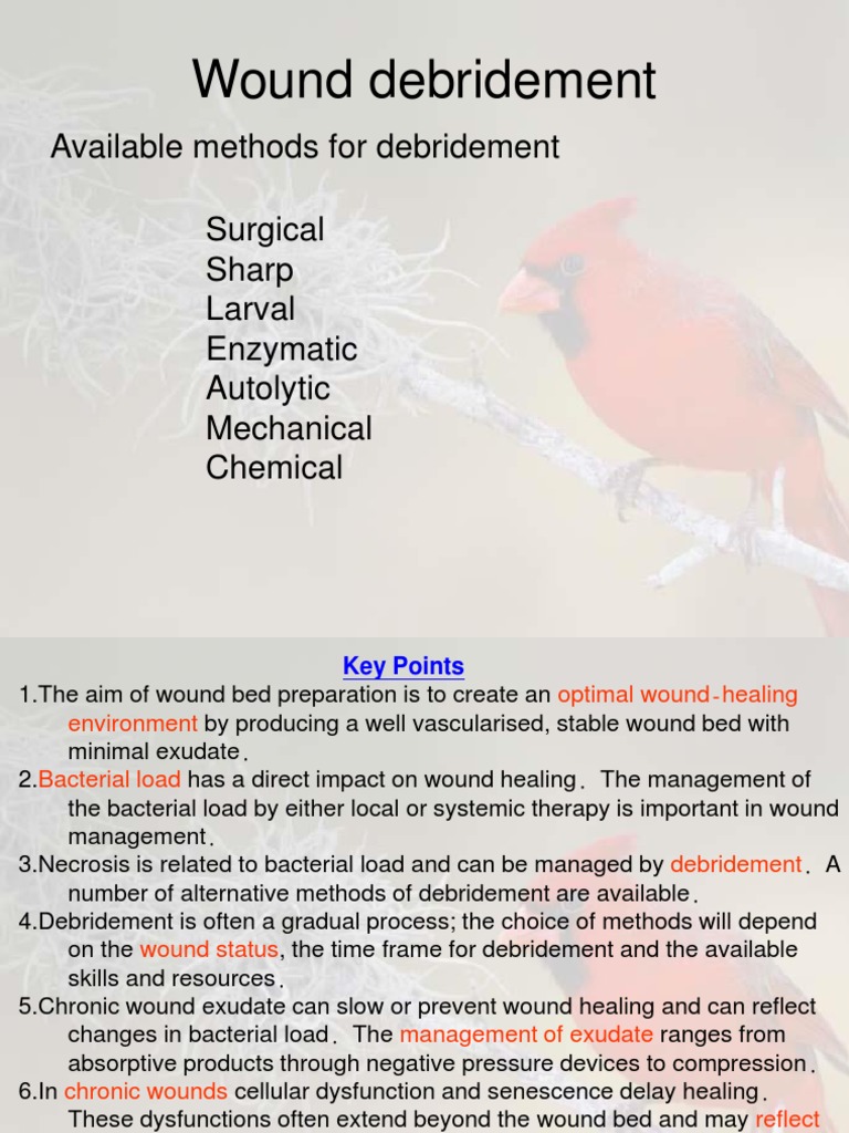 Wound Debridement Available Methods For Debridement Surgical Sharp