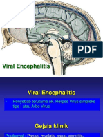 Viral Encephalitis.ppt