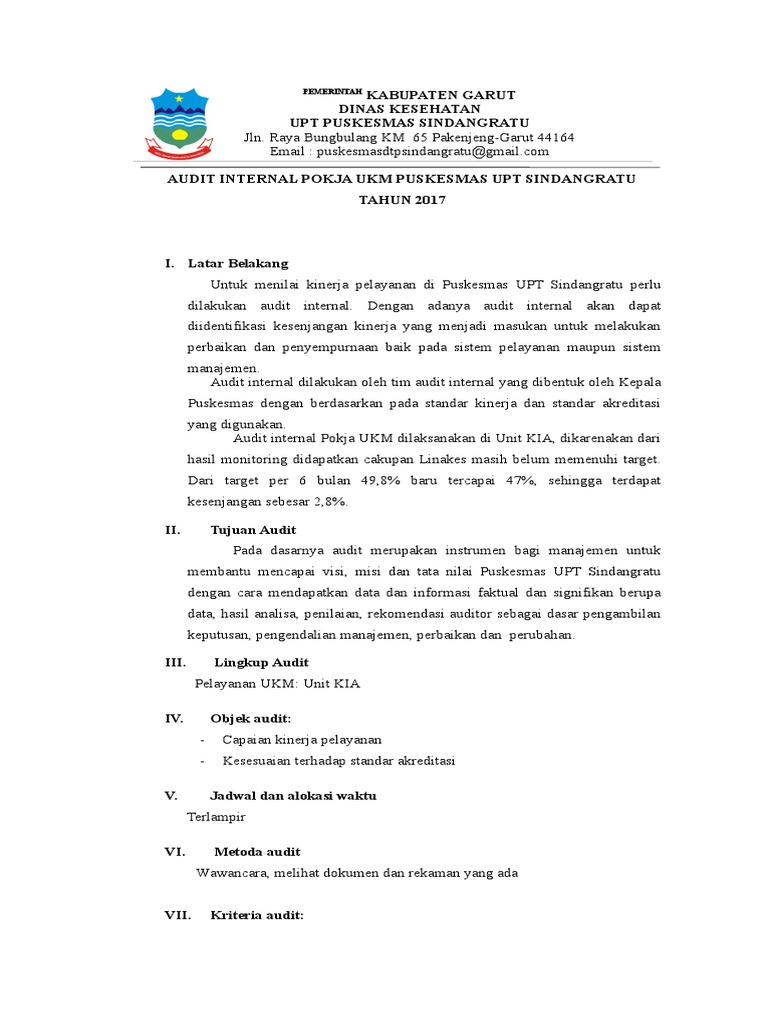 20++ Laporan Audit Internal Ukm Puskesmas