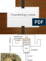 Neurobiology Course