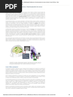 Como a Alfabetização Influencia o Funcionamento Do Nosso Cérebro Canal Ciência - Ibict