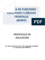 BANFE. Protocolo Modificado - Rev. Julio y Maura 2.doc