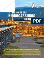 Situacion_hidrocarburos_2014.pdf