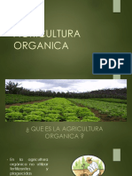 AGRICULTURA-ORGANICA