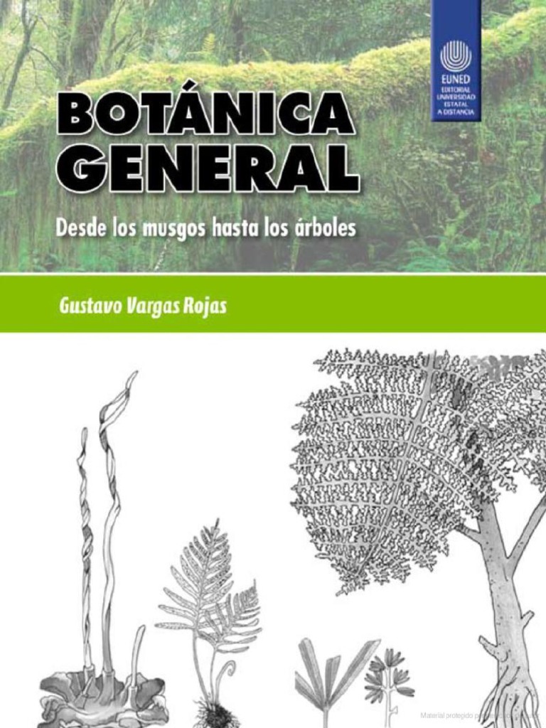 Botanica General PDF | PDF