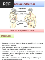 _Glândulas