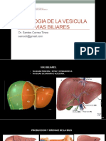 Patologia de La Vesicula y Las Vias Biliares