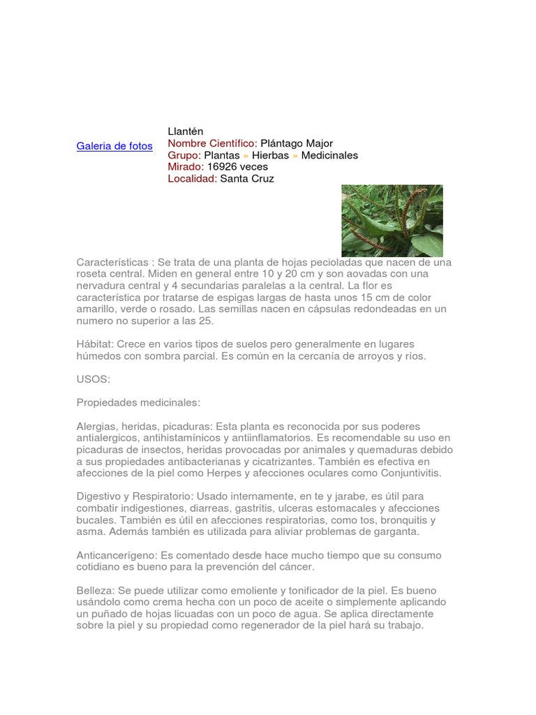 Plantas Medicinales