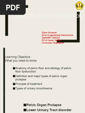 Pelvic Floor Dysfunction Urinary Incontinence Pelvis