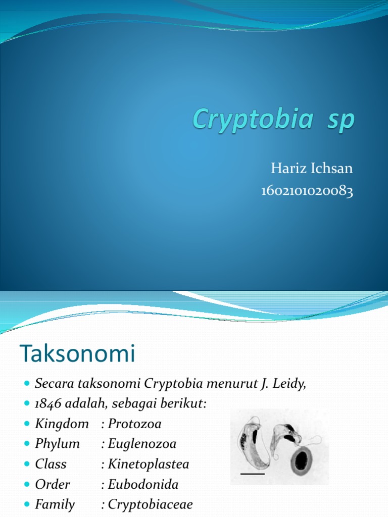 Koreys avtobus porno