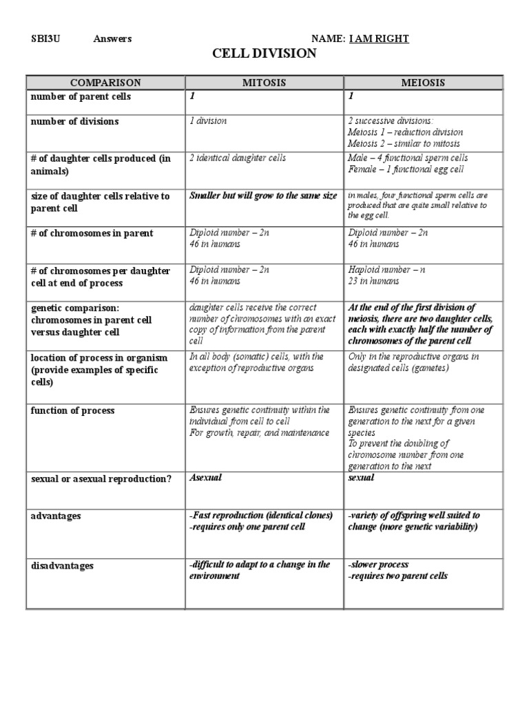 Worksheets Comparing Mitosis And Meiosis collection of worksheet in mitosis and meiosis adriaticatoursrl comparing answers photos mindgearlabs