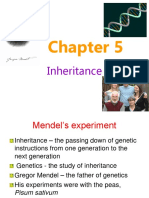 Chapter 5 Inheritance