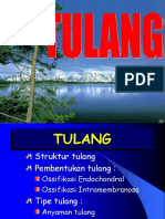 pa-tulang