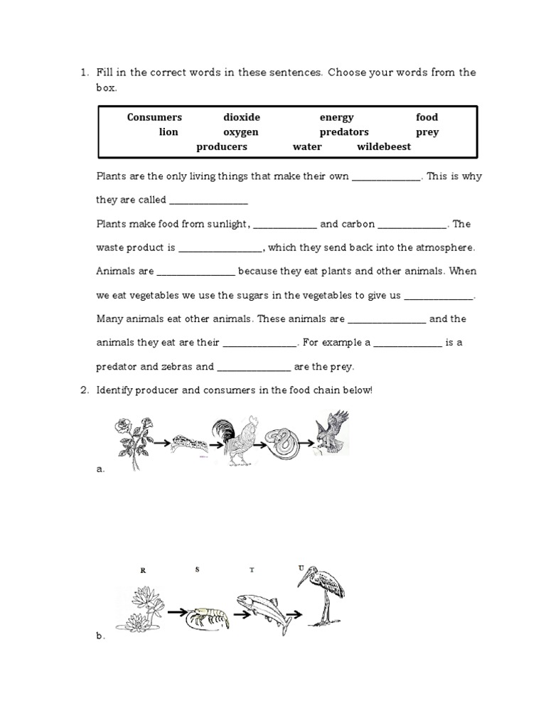 Fill in The Correct Words in These Sentences PDF Predation Herbivore
