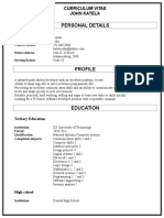 CV Template 2