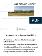 Arheologija Krasa in Brkinov