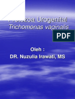 Protozoa Urogenital Trich Vaginalis