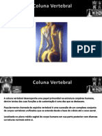 Coluna Vertebral