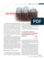 Dentro Del Silo