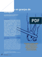 Eutanasia en Granjas de Conejo PDF