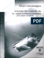 Guia Metodologica Del Cuidado Materno-perinatal