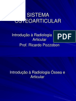 Sistema Osteoarticular