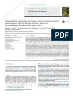 Changes in Leaf Morphology, Antioxidant Activity and Photosynthesis(Revisado)