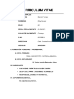 Curriculum Vitae - Ronald Alarcon