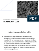 Echerichia Coli