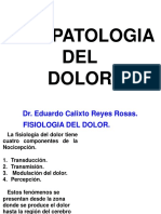 Fisiologia Del Dolor