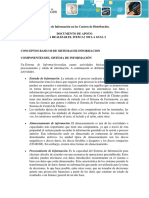 Conceptos básicos de sistemas de Información.pdf