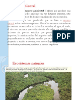 Impacto Ambiental Clase 12Microsoft Office PowerPoint