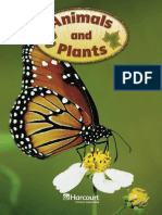 Animals and Plants