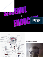 19 Sist Endocrin