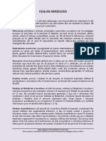 Fjalor Shpjegues PDF