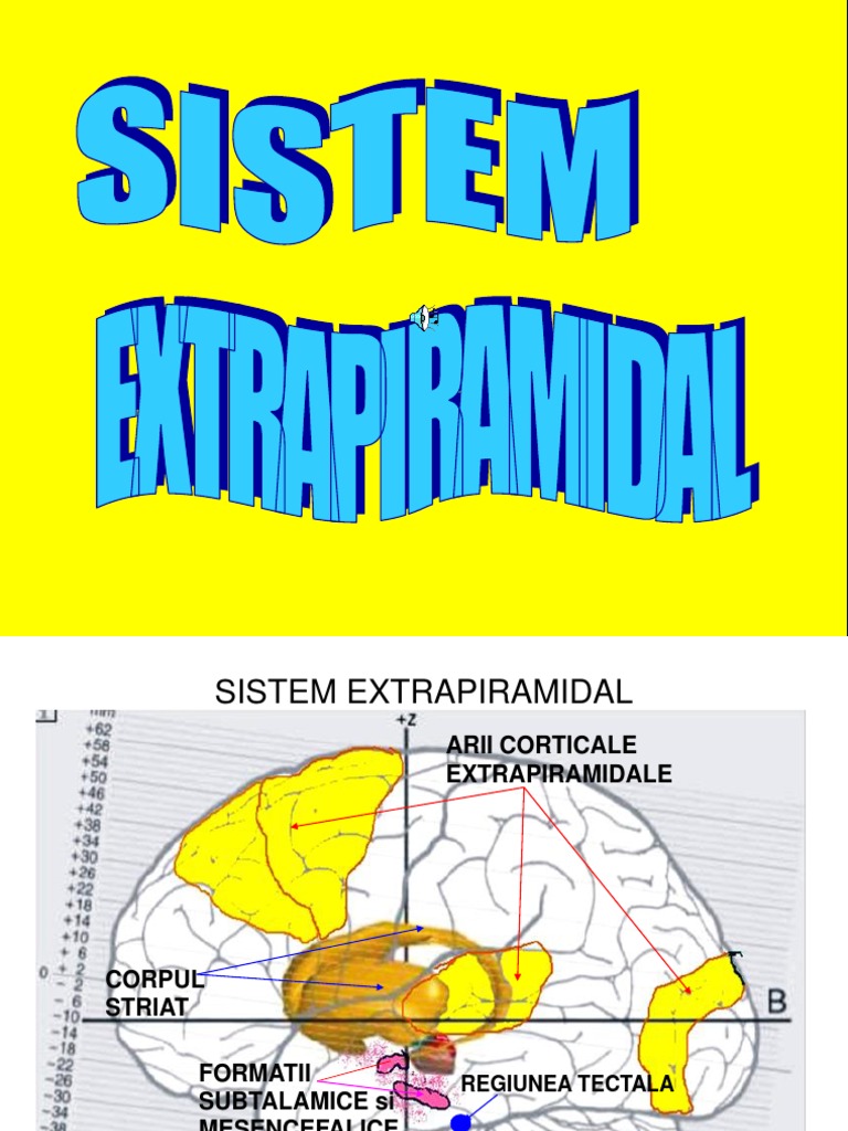 11 Extrapiramidal | PDF