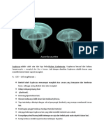 Scyphozoa